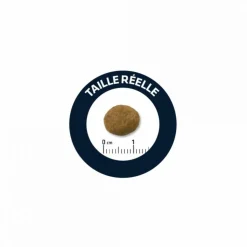 ADVANCE - Croquettes chien maxi puppy - advance 3 kg