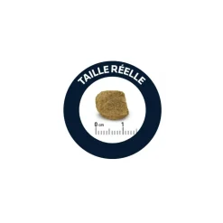 ADVANCE - Croquettes chien maxi senior - advance 12 kg