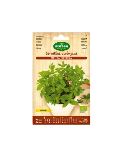 AGREEN - 10 sachet de graines eco menthe agreen