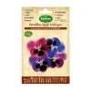 AGREEN - 10 sachet de graines pansy géant d'accord