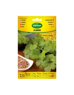 AGREEN - Graines de coriandre corianrum sativum 301015bolsh agreen - agreen