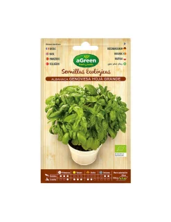 AGREEN - Sachet de graines eco basilic genovesa agreen