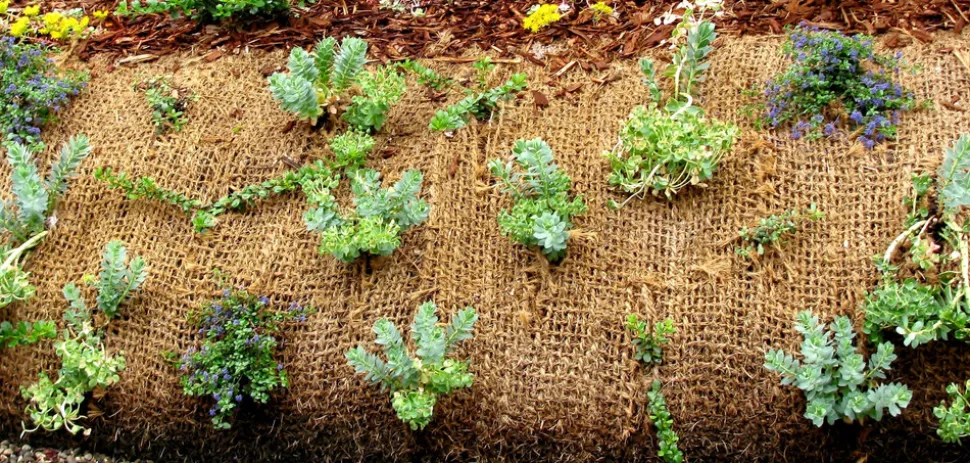 AQUAGART - 200 m filet anti-érosion en fibre de coco 1 m de large, film pour bassin de jardin, toile en fibre de noix de coco 750 g