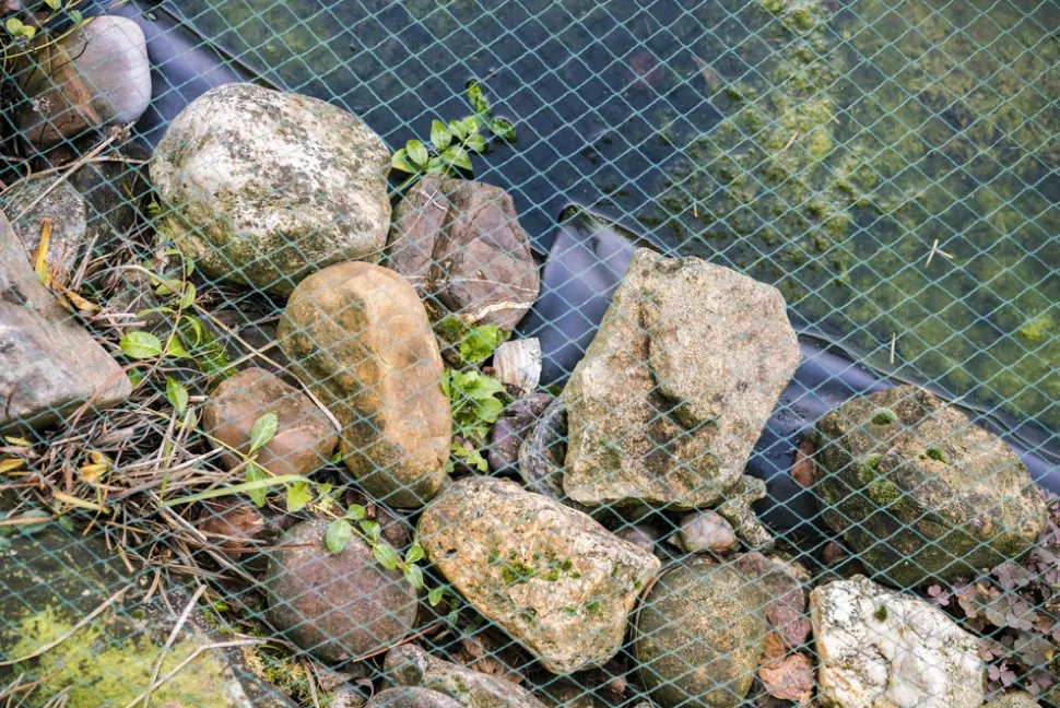 AQUAGART - Filet de bassin 22 m x 12 m filet à feuilles, filet, filet de protection contre les feuilles, robuste