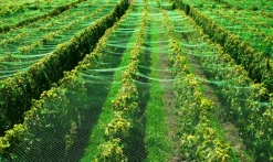 AQUAGART - Filet de bassin 3 m x 12 m, filet à feuilles, filet de silo, filet de protection contre les feuilles