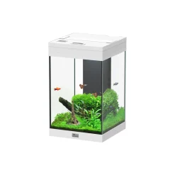 AQUATLANTIS - Aquarium Aqua Tower Equipé Blanc L.30xP.30xH.49cm