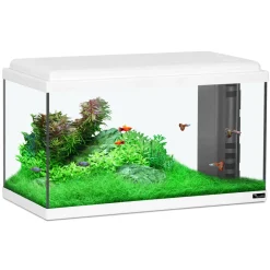 AQUATLANTIS - Aquarium en verre, blanc : L.60 x P.30 x H.34 cm - 61 litres