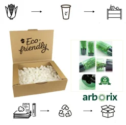 ARBORIX - 2 x chalef de ebbing - elaeagnus ebbingei - 40-60 cm pot