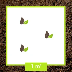 ARBORIX - Kordes parfuma® rosier - rosa 'rosengräfin marie henriëtte'®