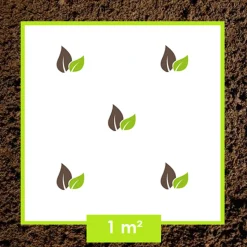 ARBORIX - Kordes rigo-rosier - rosa 'neon'®