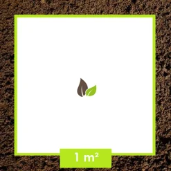 ARBORIX - Rosier grimpante - rosa 'guirlande d'amour'