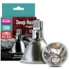 ARCADIA - Lampe à résistance chauffante - deep heat projector 50w - chauffage pour reptiles en terrarium