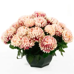 ARCHE DIFFUSION - Coupe de chrysanthèmes artificiels, 28 fleurs - Rose