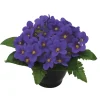 ARCHE DIFFUSION - Coupe de violettes artificielles D 24 H 18 cm