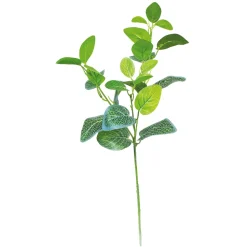 ARCHE DIFFUSION - Fleur artificielle tige feuillage fittonia blanc H.66cm