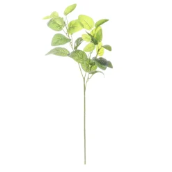 ARCHE DIFFUSION - Fleur artificielle tige feuillage fittonia blanc H.66cm