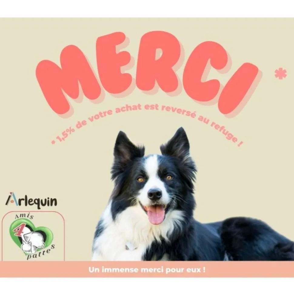 ARLEQUIN IRRESISTIBLE - Arlequin irrésistible petite race saumon d'ecosse sans céréales 6 kg