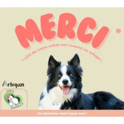 ARLEQUIN IRRESISTIBLE - Croquette chien superfood - sans céréales - arlequin irrésistible - dinde élevée en plein air 2 kg