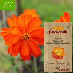 ASSOCIATION KOKOPELLI - Graines bio à semer - cosmos redcrest