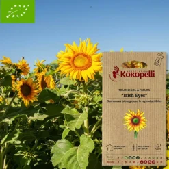 ASSOCIATION KOKOPELLI - Graines bio à semer - tournesol à fleurs irish eyes