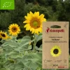 ASSOCIATION KOKOPELLI - Graines bio à semer - tournesol à graines arikara
