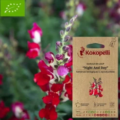 ASSOCIATION KOKOPELLI - Graines bio à semer - gueule de loup night and day