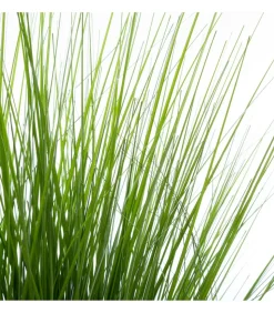 ATMOSPHERA - Plante artificielle bouquet d'herbes dans un pot h 74 cm