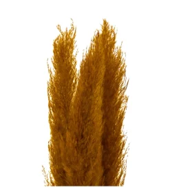 ATMOSPHERA - Set de 3 branches de pampa séchée ocre h 109 cm