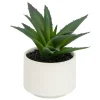 ATMOSPHERA CREATEUR D'INTERIEUR - Plante grasse en pot h13