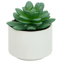 ATMOSPHERA CREATEUR D'INTERIEUR - Plante grasse en pot h13