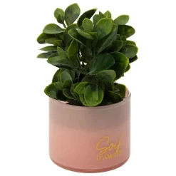 ATMOSPHERA CREATEUR D'INTERIEUR - Plante artificielle en pot "tayli" h18cm