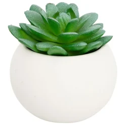 ATMOSPHERA CREATEUR D'INTERIEUR - Plante grasse en pot h13