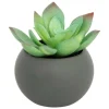 ATMOSPHERA CREATEUR D'INTERIEUR - Plante grasse en pot h13