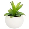 ATMOSPHERA CREATEUR D'INTERIEUR - Plante grasse en pot h13