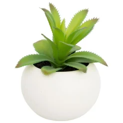 ATMOSPHERA CREATEUR D'INTERIEUR - Plante grasse en pot h13