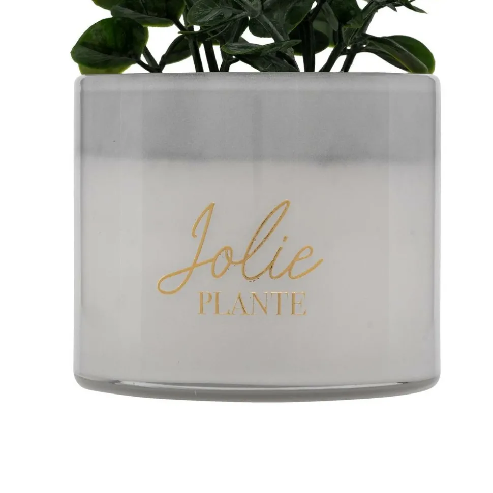 ATMOSPHERA CREATEUR D'INTERIEUR - Plante artificielle en pot "tayli" h18cm