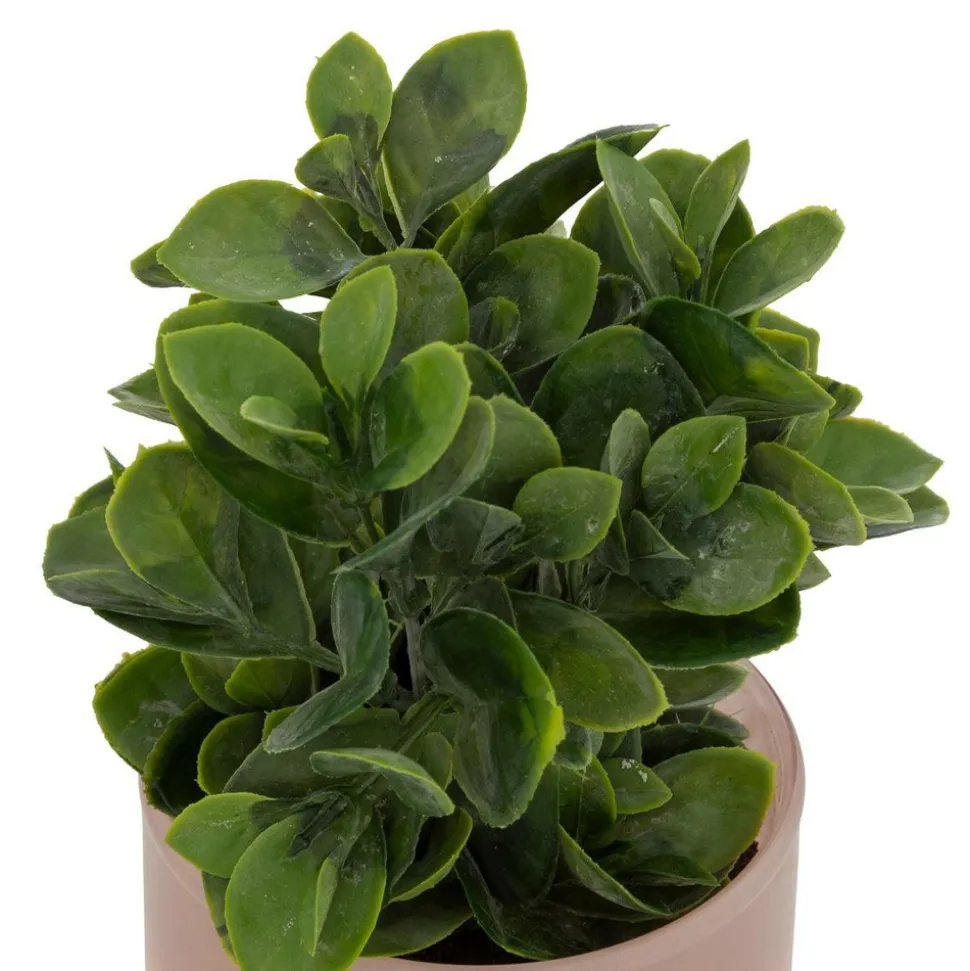 ATMOSPHERA CREATEUR D'INTERIEUR - Plante artificielle en pot "tayli" h18cm