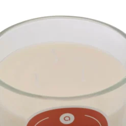 ATMOSPHERA CREATEUR D'INTERIEUR - Bougie parfumée " floa" ambre 610g