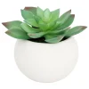 ATMOSPHERA CREATEUR D'INTERIEUR - Plante grasse en pot h13