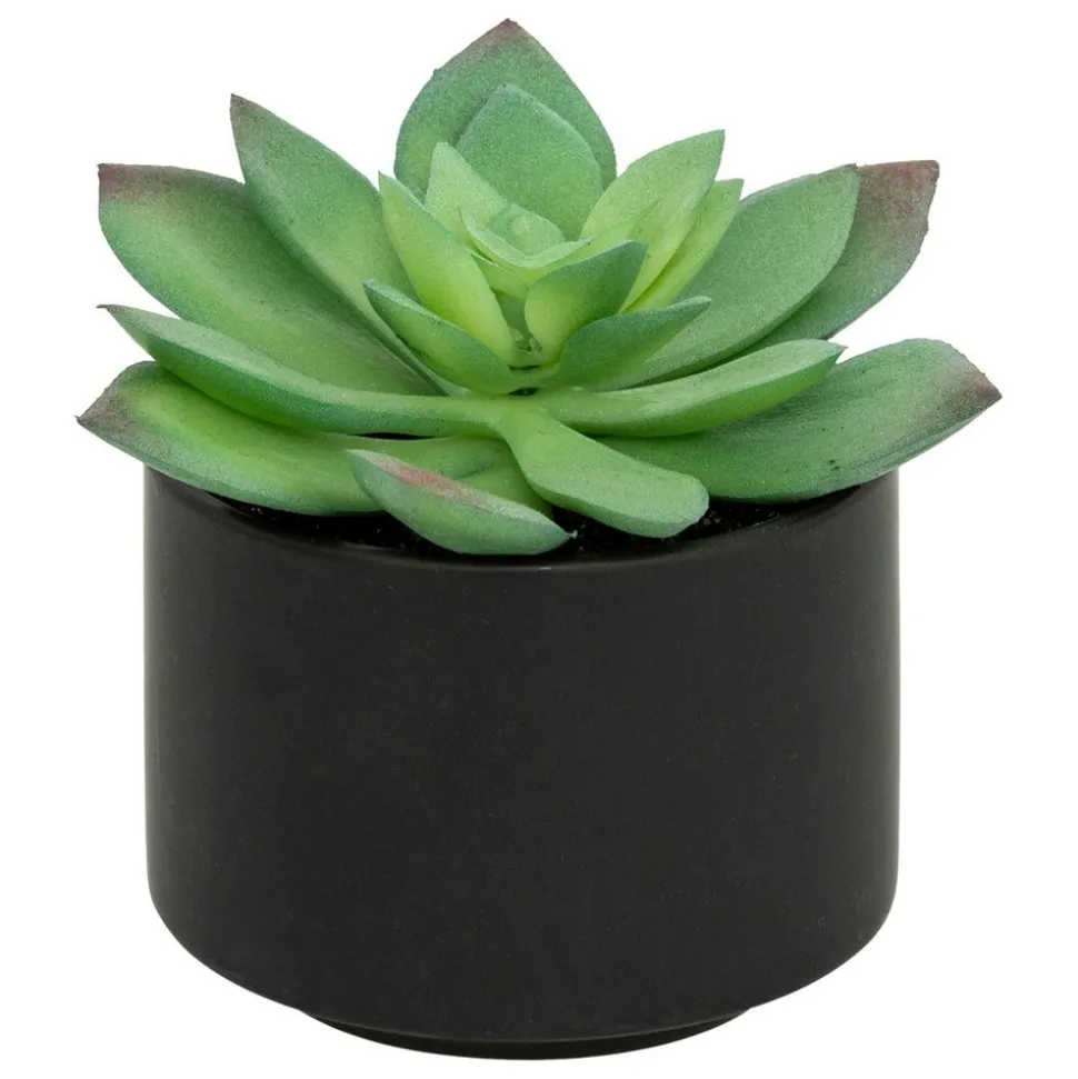 ATMOSPHERA CREATEUR D'INTERIEUR - Plante grasse en pot h13