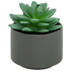 ATMOSPHERA CREATEUR D'INTERIEUR - Plante grasse en pot h13