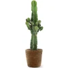 ATTITUDE JARDIN - Euphorbia eritrea avec panier en jonc de mer - cowboy cactus - ↕ 90-100 cm - ⌀ 21 cm - cactus et plantes grasses