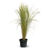 ATTITUDE JARDIN - Stipa tenuifolia - cheveux d'ange - plante d'extérieur - ↕ 70-80 cm - ⌀ 17 cm