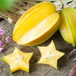 Averrhoa carambola (carambolier) - 70/100 cm