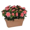 Azalea artificiel pêche, en jardinière L.29 x 13 x H.27 cm