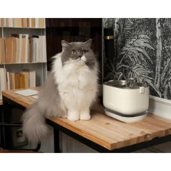 BANDIT - Fontaine à eau sans fil beige pour chat