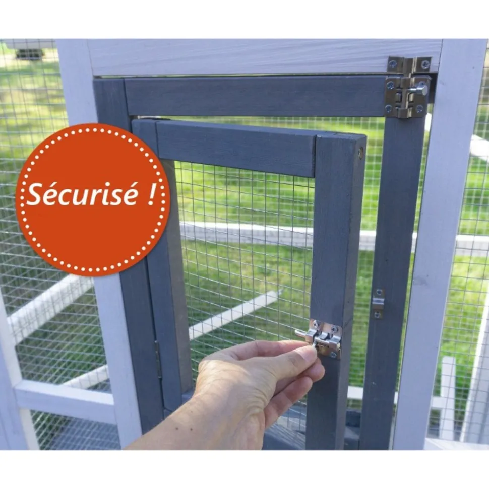 BB LOISIR - Volière cage à oiseaux en bois de haute qualité 82x57x160cm pour intérieur et extérieur –modèle « apollo l 303 »