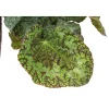 Begonia rex sizemoreae - Pot D 12cm