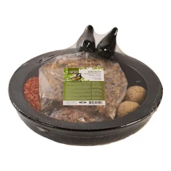BEST FOR BIRDS - Kit complet bain/mangeoire pour oiseaux avec nourriture d'hiver