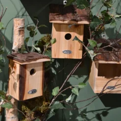BEST FOR BIRDS - Nichoir pour oiseaux avec toît en écorce rouge gorge